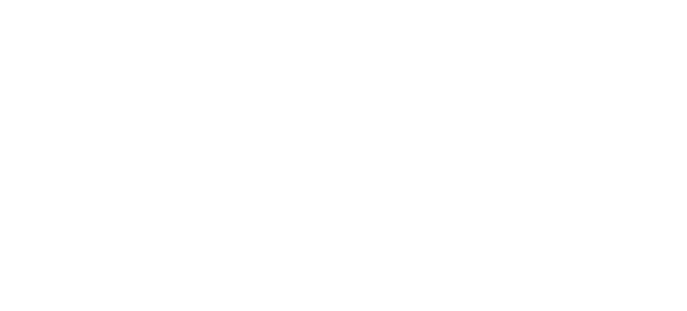 foundation
